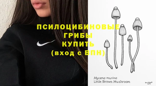 MDMA Premium VHQ Касимов