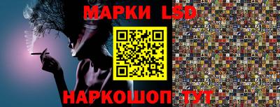 индика Заводоуковск