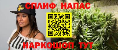 индика Заводоуковск