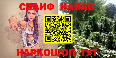 индика Заводоуковск