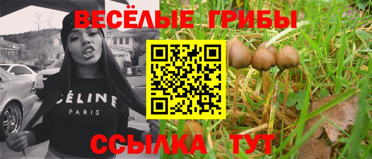 Галлюциногенные грибы GOLDEN TEACHER Кострома
