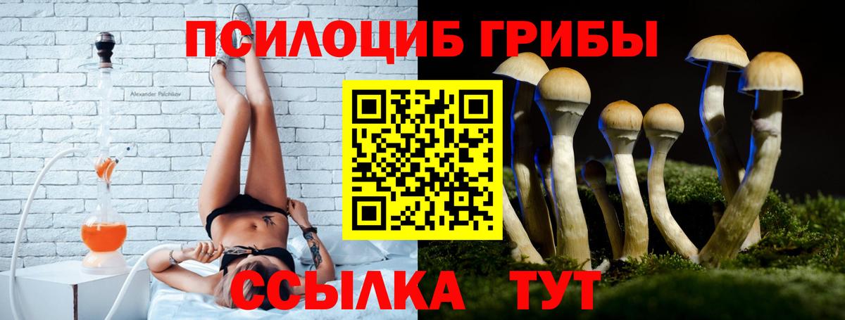 Галлюциногенные грибы Cubensis  Кострома 