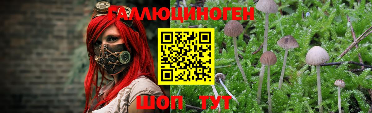 LSD-25  Вход с VPN  МАРИХУАНА  Кострома  Cocaine  Марихуана  Гашиш  МЕФ  