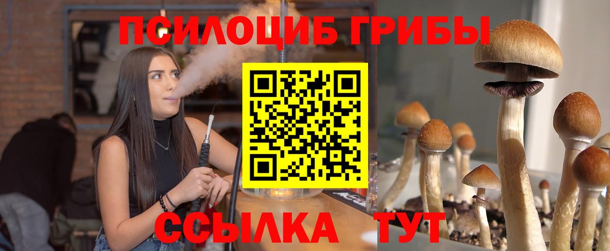 Галлюциногенные грибы мухоморы Кострома