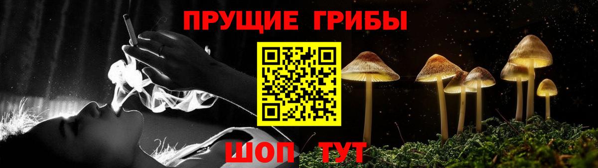 ГАШИШ Кострома