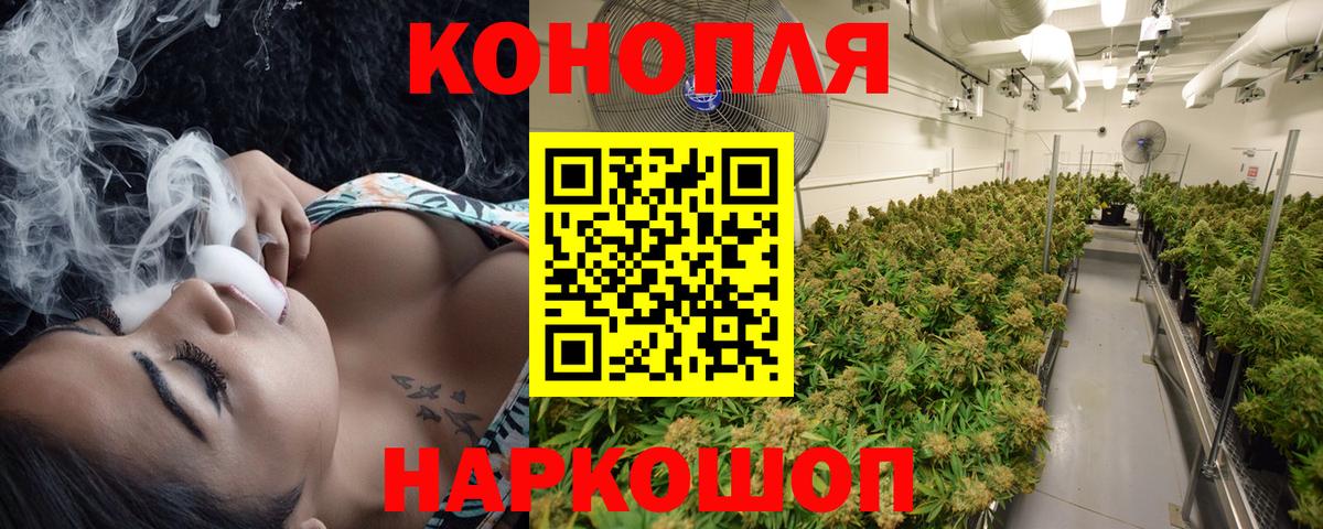 Бошки Шишки SATIVA & INDICA  Вход с VPN  Конопля Amnesia  Кострома 