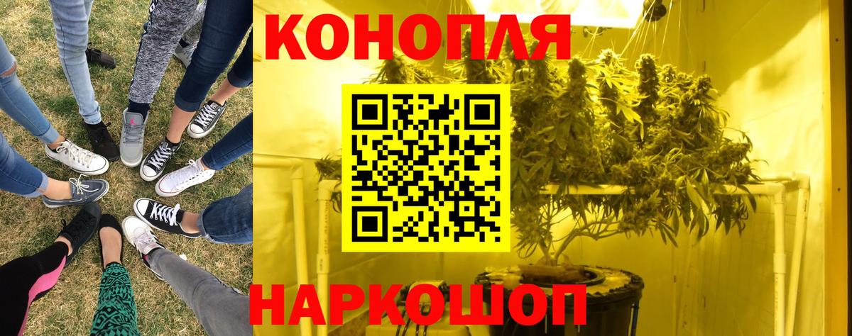 Бошки марихуана MAZAR  Марихуана MAZAR  Кострома  Каннабис тримм 